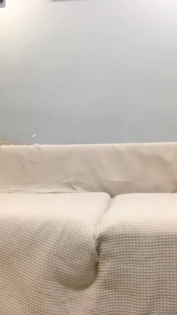 明星脸，几万粉丝的小网红【偷走一头猪】清秀女神~长腿骚舞~道具黑牛~逼会下蛋，走在街上回头率肯定高！~撸管佳作 截图11