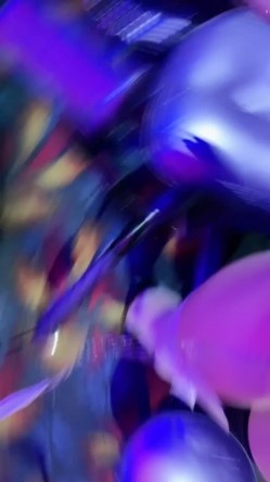 校花全新视角 SM被当狗玩【猫猫在校】捆绑！狂操~翻白眼 截图13