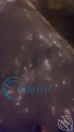 和丈母娘压马路直接褪去我的裤子在马路给我撸鸡巴 截图1