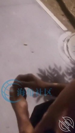 和丈母娘压马路直接褪去我的裤子在马路给我撸鸡巴 截图4