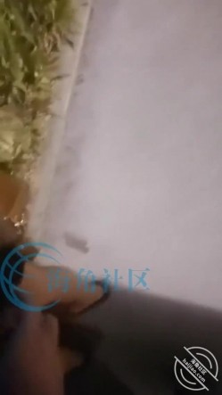 和丈母娘压马路直接褪去我的裤子在马路给我撸鸡巴 截图7