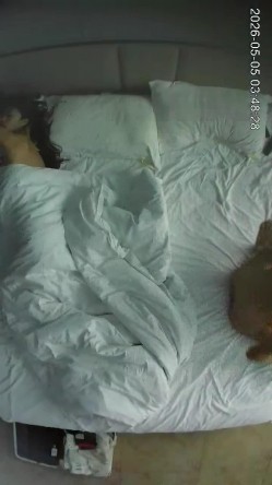 最佳酒店精品韩系女团style性感豹纹黑丝细腰肥臀校园女大被男友暴力打桩高潮痉挛抽搐 截图13