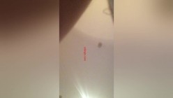 大学表演系妹子和男友激情爱爱自拍视频不幸流出,造福广大狼友们 截图11