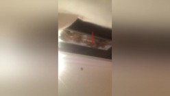大学表演系妹子和男友激情爱爱自拍视频不幸流出,造福广大狼友们 截图14