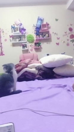 极品美乳胸模主播 倩儿，有点叶子楣的味道，’你过来舔我逼，把我舔舒服了，天天跟你做爱哦‘，会撩会聊，大胸胸压死你！ 截图8