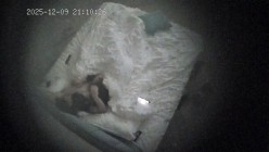 酒店偷拍 年轻情侣就是体力好除了吃饭睡觉就一直腻歪啪啪男友还拿手机拍照留念 截图4