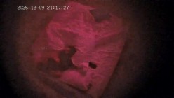 酒店偷拍 年轻情侣就是体力好除了吃饭睡觉就一直腻歪啪啪男友还拿手机拍照留念 截图6