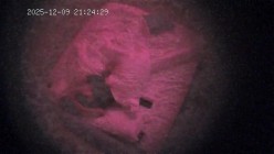 酒店偷拍 年轻情侣就是体力好除了吃饭睡觉就一直腻歪啪啪男友还拿手机拍照留念 截图8