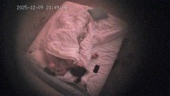 酒店偷拍 年轻情侣就是体力好除了吃饭睡觉就一直腻歪啪啪男友还拿手机拍照留念 截图15