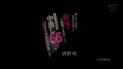 CAWB-044 截图1