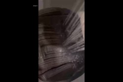 约啪大神【Q先森】网红良家约啪，1个半月，又约了不少极品妹妹 截图11