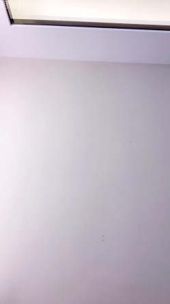 颜值姐妹花车模【莎莎】双飞约操轮流坐屌，后入打桩边干边喷 截图10