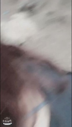 “鸡巴好硬~我要来高潮了”对话超淫荡，顶级骚母狗大奶妖媚【雪儿】群福利，户外车震3P淫声浪语骚得离谱 截图3