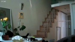 《居家摄像头破解》真实记录两姐妹的日常 一丝不挂的在家里晃来晃去 截图8