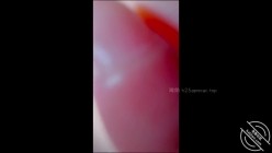 乱伦大神【意淫自己妹妹】钻石贴，洗浴中心跟妹妹偷情，心惊胆跳的，不过瘾还去天台找刺激 截图7