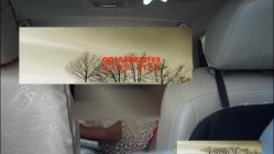 黑出租DQL94众筹董庆良 截图7