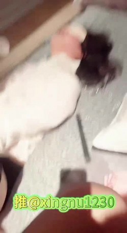 非推特版本，国产自拍精品，浙江颜值情侣最强喷水，【xingnu】高价付费VIP全套，江南淑女人妻也疯狂，刺激！ 截图5