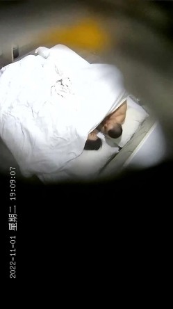 十一月最新流出酒店安防摄像头偷拍光头大叔约炮熟女少妇情人开房六九各种姿势啪啪 截图15