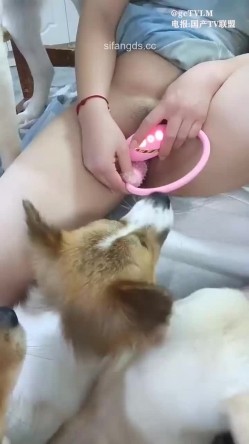 福建良家人妻，人狗混交狗狗舔逼做爱口交自慰高潮喷刺激 截图1