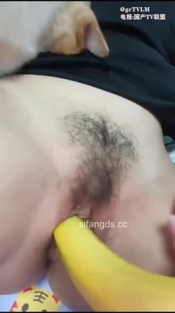 福建良家人妻，人狗混交狗狗舔逼做爱口交自慰高潮喷刺激 截图8
