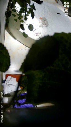 5对情侣打响新年第一炮 ️小美女腰力不错 床都快塌了 漂亮御姐上位功力榨干男友 高清720P版 截图1