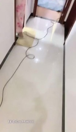 『人间水蜜桃』四人淫乱啪 刮逼毛白净美逼啪啪 两女一排后入 浪叫声高昂不绝 截图6