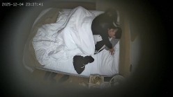 酒店偷拍 连续两天入住大学生情侣猴急男刚到房间就迫不及待扒开眼镜反差婊女友内裤研究 截图11