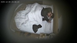酒店偷拍 连续两天入住大学生情侣猴急男刚到房间就迫不及待扒开眼镜反差婊女友内裤研究 截图12