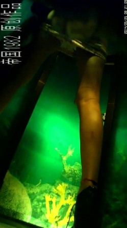 夜场酒吧女厕正面镜头偸拍各种时尚小姐姐方便 赏脸赏逼 截图13