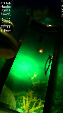 夜场酒吧女厕正面镜头偸拍各种时尚小姐姐方便 赏脸赏逼 截图16