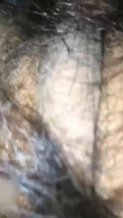 黑丝熟女骚穴第一视角，疯狂啪啪激情高潮 截图15