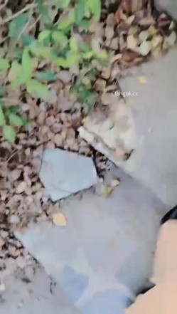 【小狐仙】眼镜御姐 巨乳美女 户外公园跳蛋道具抽插 开档丝袜大长腿插沟搭男技师 抠逼 截图2
