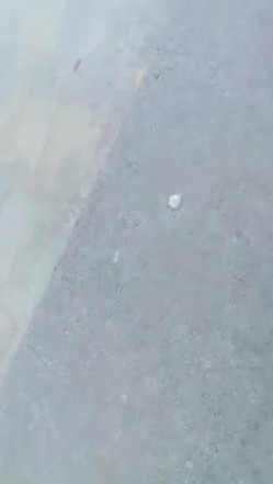 【小狐仙】眼镜御姐 巨乳美女 户外公园跳蛋道具抽插 开档丝袜大长腿插沟搭男技师 抠逼 截图6