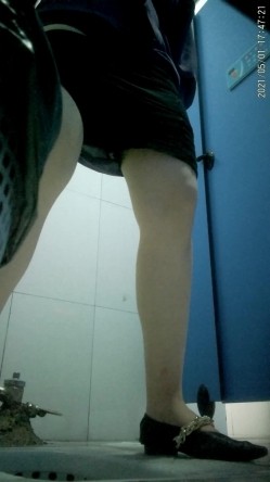 拍多位年轻小姐姐大小便，美女诱惑蜜桃臀，旗袍老阿姨无毛一线天简直太顶了 截图10