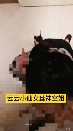【真实空姐 ️稀缺航空】极品制服『空姐』反差婊私拍集 佳妮空姐多名女神接机啪啪 穿空姐制服做爱 截图11