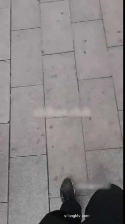 街射【辽宁色魔】地铁口尾随掏出鸡巴 射精在小姐姐身 截图15
