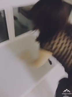 东北哈尔滨牛逼约炮大神joker高价付费翻车群内部福利视频整理集 模特外围好多反差婊 截图8