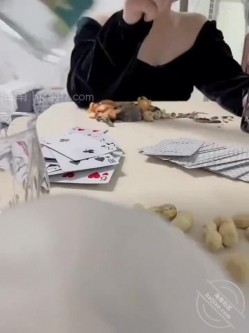 狂灌巨乳表姐一整瓶牛栏山晕倒后，我醉奸巨乳表姐 截图2