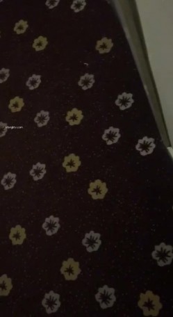 【猎奇资源 ️真实浅入旅馆】尾随跟踪翻偷拍情侣啪啪做爱叫床声甄选 两小时超刺激 叫的撕心裂肺 荡气迴肠 截图5