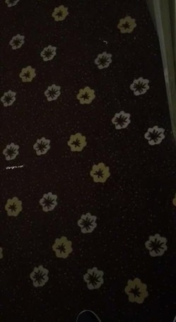 【猎奇资源 ️真实浅入旅馆】尾随跟踪翻偷拍情侣啪啪做爱叫床声甄选 两小时超刺激 叫的撕心裂肺 荡气迴肠 截图7