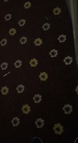 【猎奇资源 ️真实浅入旅馆】尾随跟踪翻偷拍情侣啪啪做爱叫床声甄选 两小时超刺激 叫的撕心裂肺 荡气迴肠 截图8