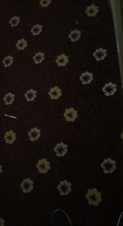 【猎奇资源 ️真实浅入旅馆】尾随跟踪翻偷拍情侣啪啪做爱叫床声甄选 两小时超刺激 叫的撕心裂肺 荡气迴肠 截图13