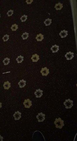 【猎奇资源 ️真实浅入旅馆】尾随跟踪翻偷拍情侣啪啪做爱叫床声甄选 两小时超刺激 叫的撕心裂肺 荡气迴肠 截图14