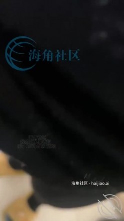 海角大神『我的巨乳亲表姐』把姐夫灌醉在卧室偷偷操姐姐 截图15
