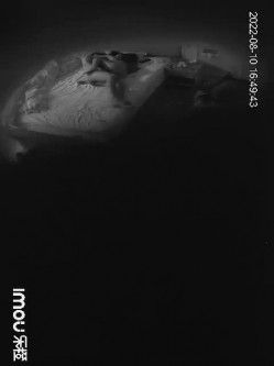 新流出乐橙酒店学生炮房偷拍几对男女啪啪呻吟刺激 截图10
