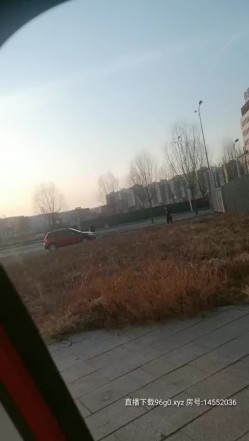 漂亮的小姐姐露脸与小哥哥玩户外车震，颜值高逼里塞个跳弹调情，车内口交被大鸡巴爆草，骚逼特写呻吟可射 截图12