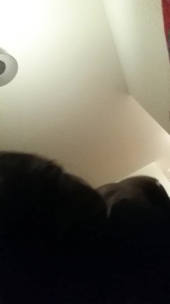 沉迷黑人大屌的那些国产美女们 国男的悲哀 国产美女们都被那些巨长黑屌操了 截图10