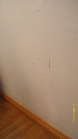 ️『学院派私拍』超清高端模特定制私拍系列 截图4