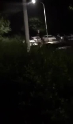 凌晨12点，公园静悄悄地，淫乱男女席地做爱，‘啊啊啊，射到我的逼里，射偏了射偏了，啊舒服啦~！’ 截图16