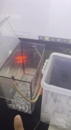 淫妻的花道7一边和庆姐视频一边和老婆疯狂做爱销量破千抽单男干老婆 截图2